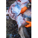 Removing Hide From Deer