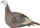 Hunters Specialties Strut-Lite Hen Turkey Decoy
