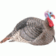 Hunters Specialties Strut-Lite Jake Turkey Decoy