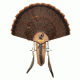Hunters Specialties Three Beard Mounting Plaque, 06949