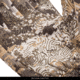 Huntworth Macomb Mid Weight Fused Waterproof Hunting Glove - Mens, Disruption, Large, E-1399-DC-L