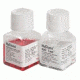 Hyclone Trypsin 0.25%(1X)FZ Lq R 100ML SH30042.01