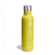 Hydro Flask 25 Oz Ceramic Wine Bottle, Cactus, 25 oz, VC25752