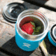 Hydro Flask Insulated Food Flask, Watermelon, 12 oz., F12B618