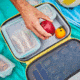 Hydro Flask Insulated Lunch Box, Sunflower, Small, LBS720