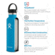 Hydro Flask 18 oz Standard Mouth Flask, Watermelon, S18SX618