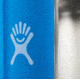 Hydro Flask 20oz Wide Mouth Flask, Pacific, W20BTS415