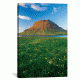 iCanvas Buttercup Meadow II, Kirkjufell, Grundarfjordur, Snaefellsnes Peninsula, Vesturland, Iceland by Gareth McCormack Canvas Print, Multi, 18 x 12 GAR10-1PC3-18x12