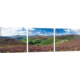 iCanvas Cloghoge Valley II, Wicklow Mountains, County Wicklow, Leinster Province, Republic Of Ireland by Gareth McCormack Canvas Print, Multi, 16 x 48 GAR12-3PC3-48x16