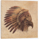 iCanvas Eagle Chief #2 by Terry Fan Canvas Print, Multi, 37x37x0.75 TFN55-1PC3-37x37