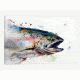 iCanvas Fish II by Dean Crouser Canvas Print, Multi, 18x26x0.75 DCR70-1PC3-26x18