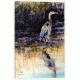 iCanvas Heron by Dean Crouser Canvas Print, Multi, 26x18x0.75 DCR20-1PC3-26x18