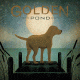 iCanvas Moonrise Yellow Dog - Golden Pond by Ryan Fowler Canvas Print, Multi, 26x26x0.75 WAC2034-1PC3-26x26