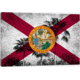 iCanvas Florida Flag, Grudge Palm Trees Canvas Print, Multi, 40x26x0.75 FLG597-1PC3-40x26
