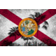 iCanvas Florida Flag, Grudge Palm Trees Canvas Print, Multi, 40x26x0.75 FLG597-1PC3-40x26