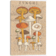 iCanvas Funghi Velenosi II By Wild Apple Portfolio Canvas Print, Multi, 40x26x0.75 WAC1972-1PC3-40x26