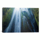 iCanvas Gljufrafoss, Seljaland, Sudurland, Iceland by Gareth McCormack Canvas Print, Multi, 12 x 18 GAR46-1PC3-18x12