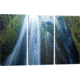 iCanvas Gljufrafoss, Seljaland, Sudurland, Iceland by Gareth McCormack Canvas Print, Multi, 40 x 60 GAR46-3PC3-60x40