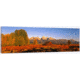 iCanvas Sunrise Grand Teton National Park WY USA, Multi, 48x16x0.75 3P PIM545-3PC3-48x16