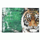 iCanvas Tiger by Piero Manrique Canvas Print, Multi, 12 x 18 PIE59-1PC3-18x12