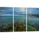 iCanvas Underwater Garden I, Dog's Bay, Connemara, County Galway, Connacht Province, Republic Of Ireland by Gareth McCormack Canvas Print, Multi, 40 x 60 GAR97-3PC3-60x40