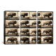 iCanvas Buffalo Running, Animal Locomotion Plate 700 Canvas Print, Multi, 60x40x0.75, 3P PCA459-3PC3-60x40
