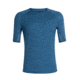 Icebreaker 150 Zone Short Sleeve Crew, Mens, Thunder/Monsoon, Large, 104346402L