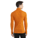 Icebreaker 175 Everyday Long Sleeve Half Zip Thermal Top - Men's, Earth, Medium, IB104484865M