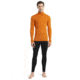 Icebreaker 175 Everyday Long Sleeve Half Zip Thermal Top - Mens, Earth, Medium, IB104484865M