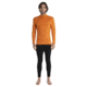 Icebreaker 260 Tech Long Sleeve Half Zip Thermal Top - Mens, Earth, Extra Large, IB104372865XL