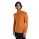 Icebreaker 260 Tech Long Sleeve Half Zip Thermal Top - Mens, Earth, Extra Large, IB104372865XL
