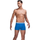 Icebreaker Anatomica Boxer Brief-Cadet-Small