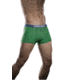 Icebreaker Anatomica Boxer Brief w/Fly - Men's-Turf-Small