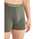 Icebreaker Anatomica Boxers - Mens, Loden, Small, IB103029069S