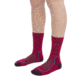 Icebreaker Hike+ Light Crew Socks - Women's, Electpnk/Nghtshad/Flxgren, Medium, IB105099975M