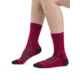 Icebreaker Hike+ Light Crew Socks - Womens, Electpnk/Nghtshad/Flxgren, Medium, IB105099975M