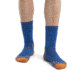 Icebreaker Hike+ Medium Crew Socks - Men's, Lazurite/Solar/Earth, Small, IB105101996S