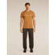 Icebreaker Merino 150 Tech Lite Short Sleeve Range Stripes T-Shirt - Mens