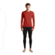 Icebreaker Merino 260 Tech Long Sleeve Crewe Thermal Top - Mens