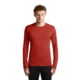 Icebreaker Merino 260 Tech Long Sleeve Crewe Thermal Top - Men's, Agate, Large, IB1043710GS100L000