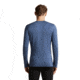 Icebreaker Merino 260 Tech Long Sleeve Crewe Thermal Top - Mens