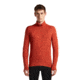 Icebreaker Merino 260 Tech Long Sleeve Half Zip Thermal Top - Mens