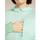 Icebreaker Merino Blend 200 RealFleece Descender Long Sleeve Zip Hoodie - Womens