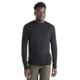 Icebreaker Men Merino 125 Cool-Lite Sphere LS Tee, Black, M, IB0A56ZL001M