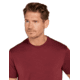 Icebreaker Men Merino 150 Tech Lite SS Tee, Port, L, IB0A56WL01CL