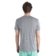Icebreaker Merino 125 Cool-Lite Sphere III SS Tee - Mens, Metro Heather, Large, IB0A56ZM016L