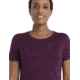 Icebreaker Tech Lite II Short Sleeve T-Shirt - Womens, Nightshade, Small, IB0A59J9853S