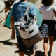 Igloo Reactor Cinch Backpack Cooler, Gray, 00065594