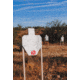Infinite Defense K-Zone Target F1E2655C, Sheet, kzonesheet
