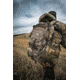 Insights Hunting The Drifter Super LightDay Pack, Realtree Edge, 9305